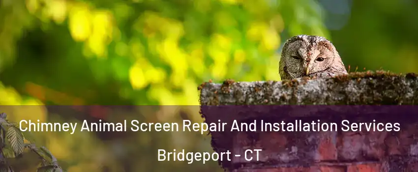  Chimney Animal Screen Repair And Installation Services Bridgeport - CT