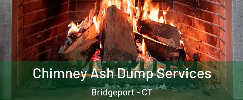  Chimney Ash Dump Services Bridgeport - CT