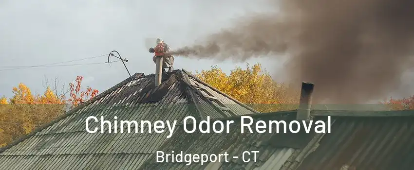  Chimney Odor Removal Bridgeport - CT