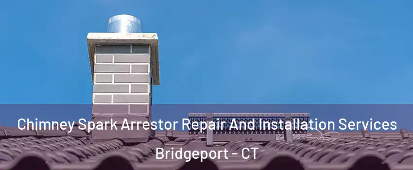  Chimney Spark Arrestor Repair And Installation Services Bridgeport - CT