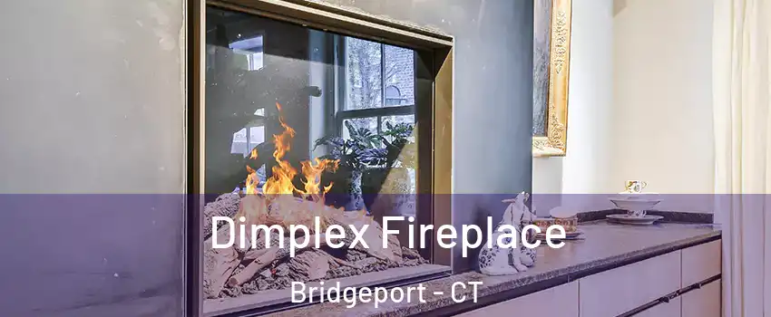  Dimplex Fireplace Bridgeport - CT