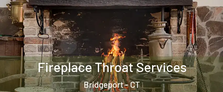  Fireplace Throat Services Bridgeport - CT