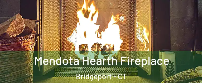  Mendota Hearth Fireplace Bridgeport - CT