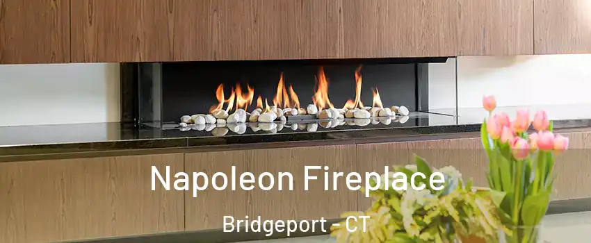  Napoleon Fireplace Bridgeport - CT