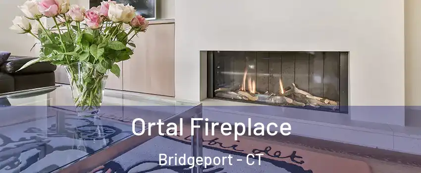 Ortal Fireplace Bridgeport - CT