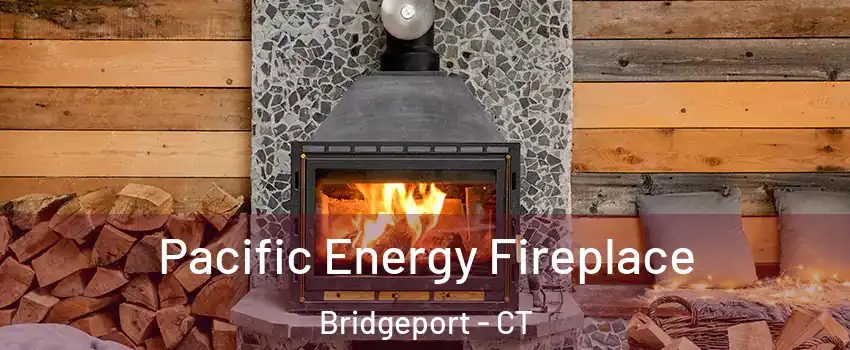  Pacific Energy Fireplace Bridgeport - CT
